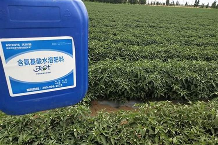 真正进口水溶肥品牌