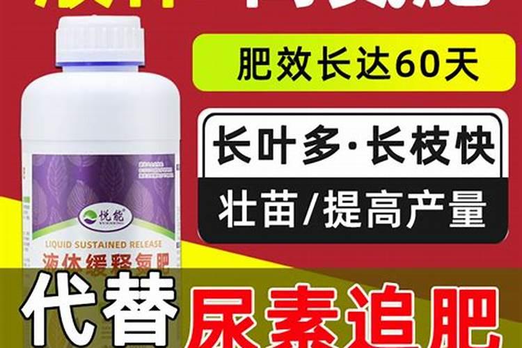 二十斤机器面放几克碱几克盐呢