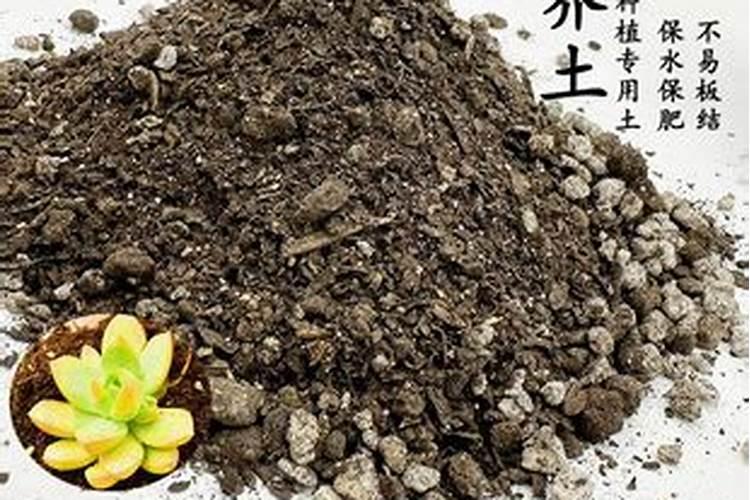 水溶肥的正确使用方法你知道吗？