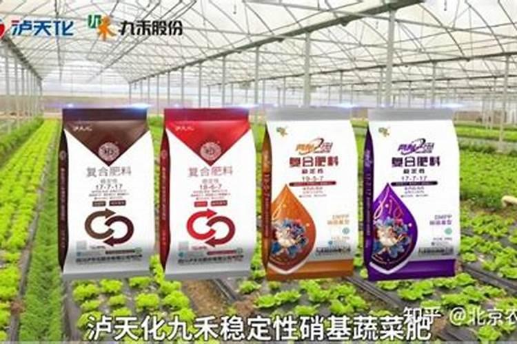 飞碟瓜茎干腐烂、流胶怎么处理？