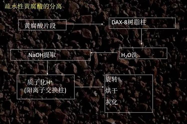 骆驼刺经济价值
