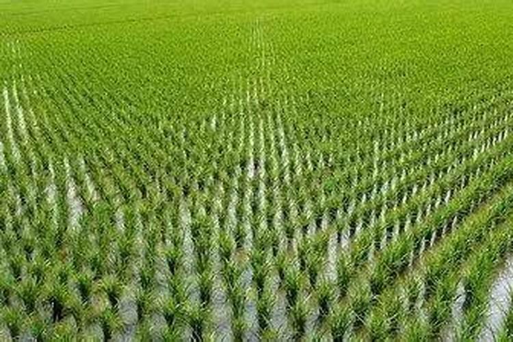 烟台五洲机械厂的产品线包括哪些