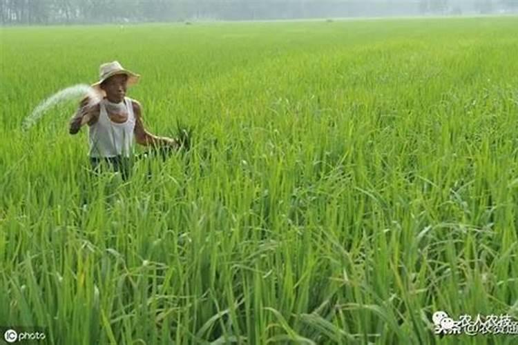 怡农园水溶肥效果怎么样