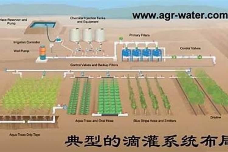 紫砂底槽青和青灰泥哪个好？