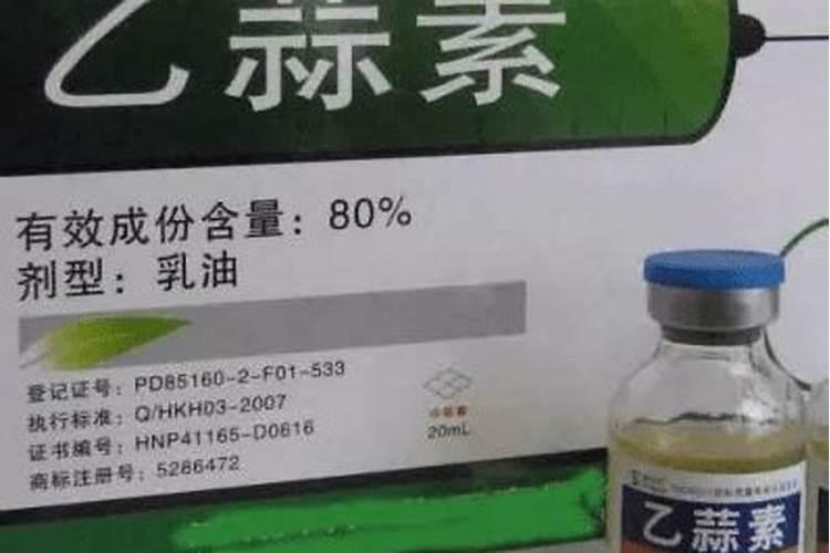 促进植物根发肓最好需要什么肥