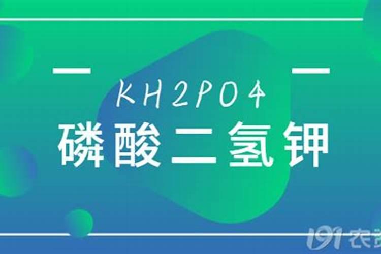 高钾肥料有哪些？了解更多的肥料知识,对增产增收有好处