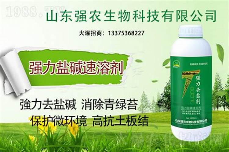 试用什么化肥可以调理盐碱地