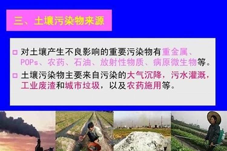 钾肥在土壤中受到哪些较大如何提高作物钾肥利用效果