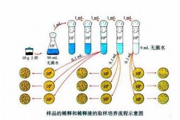 鱼蛋白肥料制作方法,附使用方法和注意事项