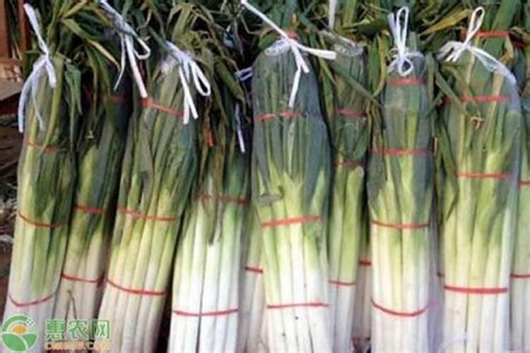 大葱底肥放什么肥 追肥什么肥料最好