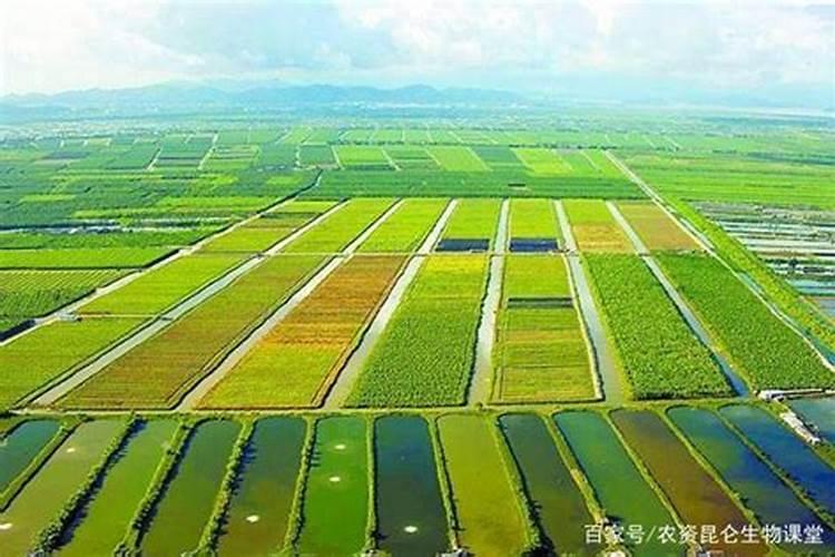 并进行糖酵解,为什么会生成3个ATP