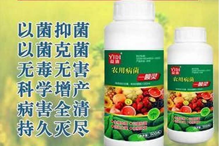 什么叶面肥好