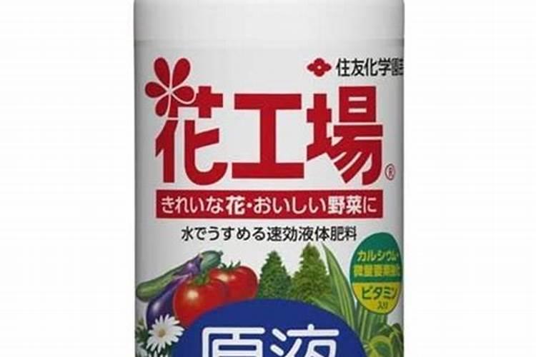 君子兰叶面肥怎么用,做到薄肥勤施原则/水溶性肥料为主