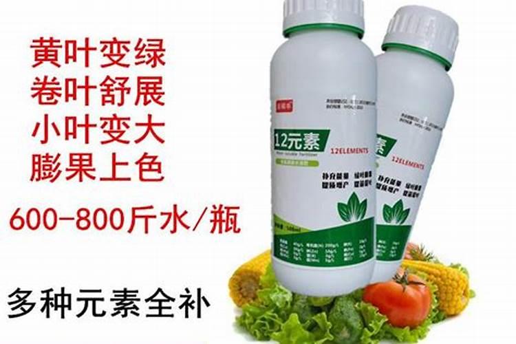 樱桃保花保果农药最佳配方