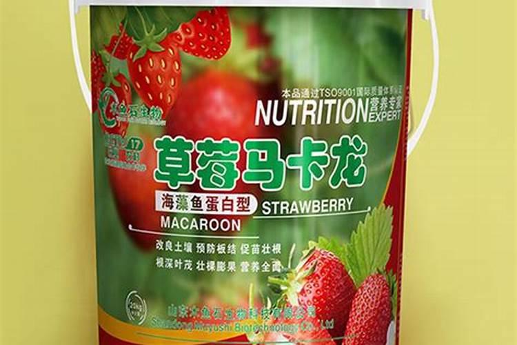 碳酶海藻鱼蛋白什么时候使用最好