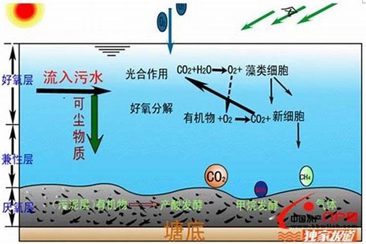 大量氮磷钾肥料产生的后果