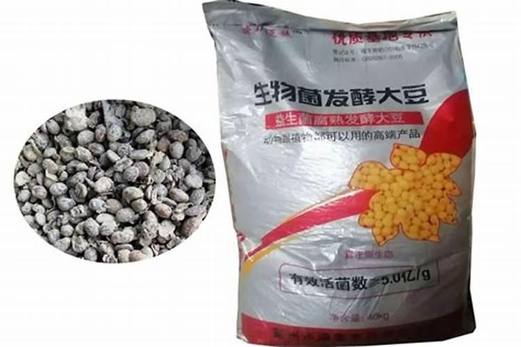 大豆发酵做肥料怎样发