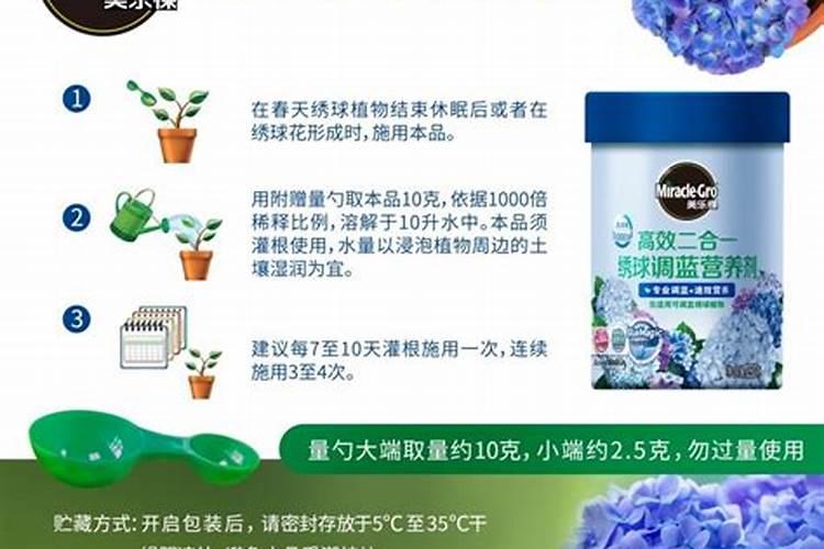 绣球花僵苗怎么处理？