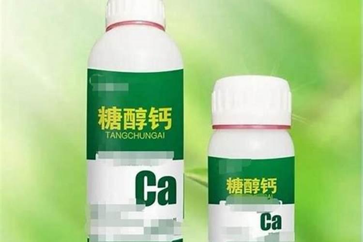 栀子花的叶脉和绿叶发黄怎么办