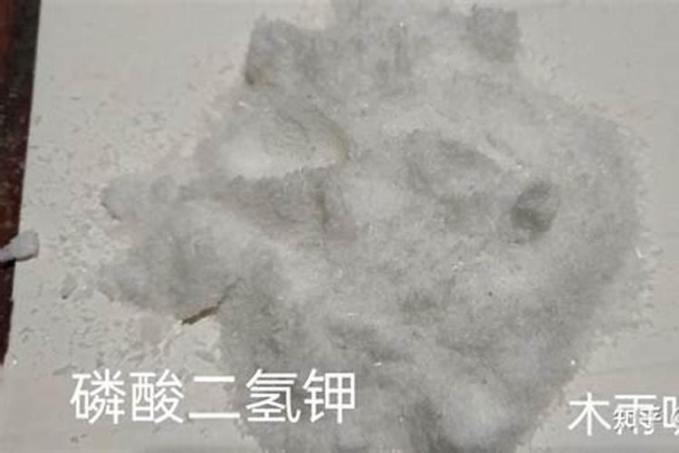 请问老师小茴香花期要怎样管理才好？