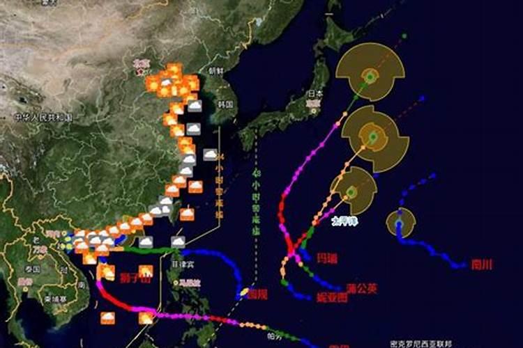 广东黑皮冬瓜的整地施肥