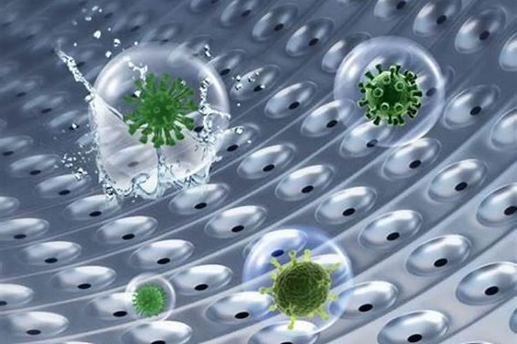 适合1一12月种的蔬菜有哪些？