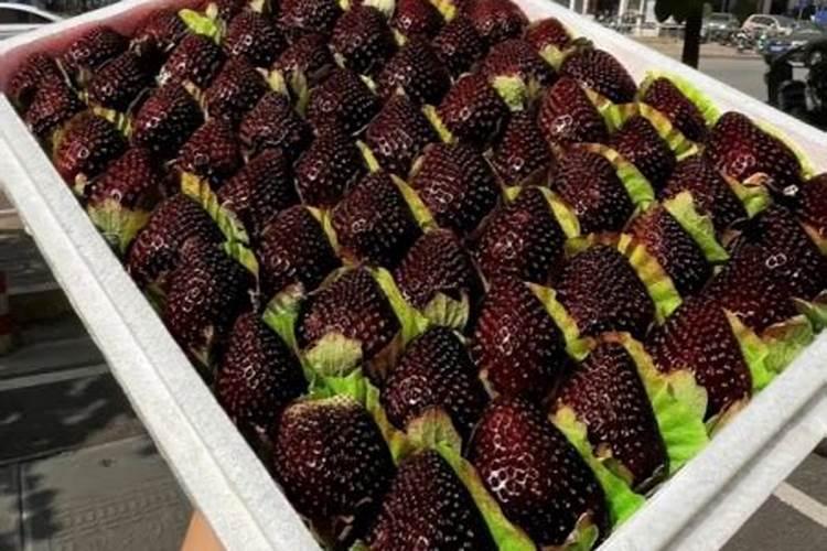 种草莓用什么肥料好 种草莓应该用什么肥料