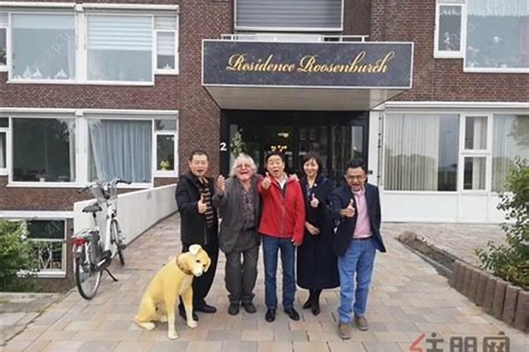 红掌的养护方法