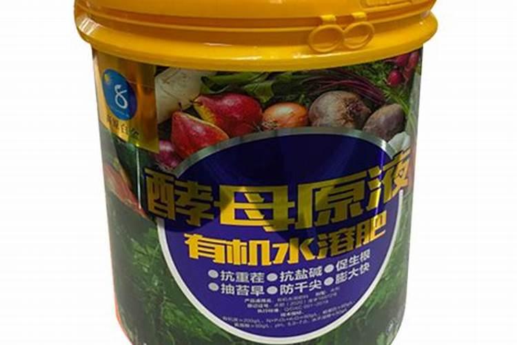 红糖加酵母发酵有机肥