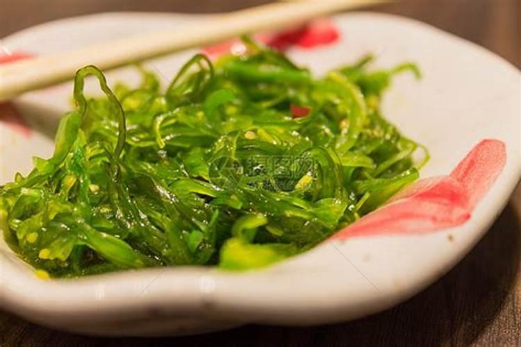 七月份播种什么青菜最好