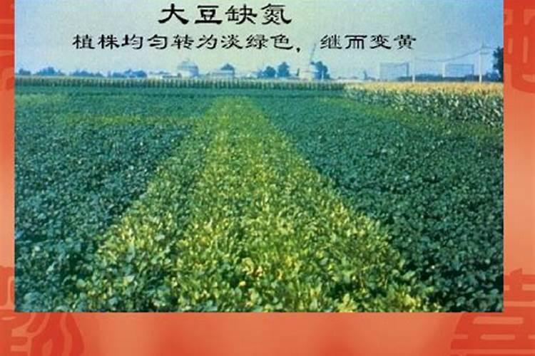 缺氮磷钾的植物个有什么症状啊