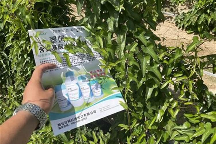 大豆底肥一亩地用多少斤
