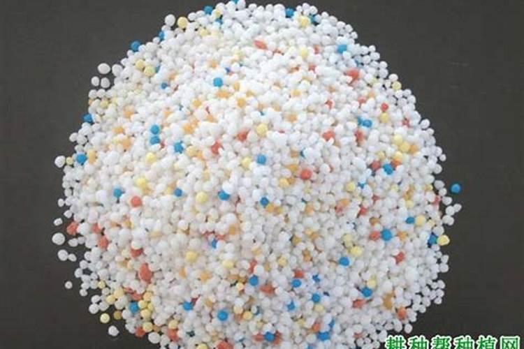 花草黄叶施什么肥、种花施什么肥料最好