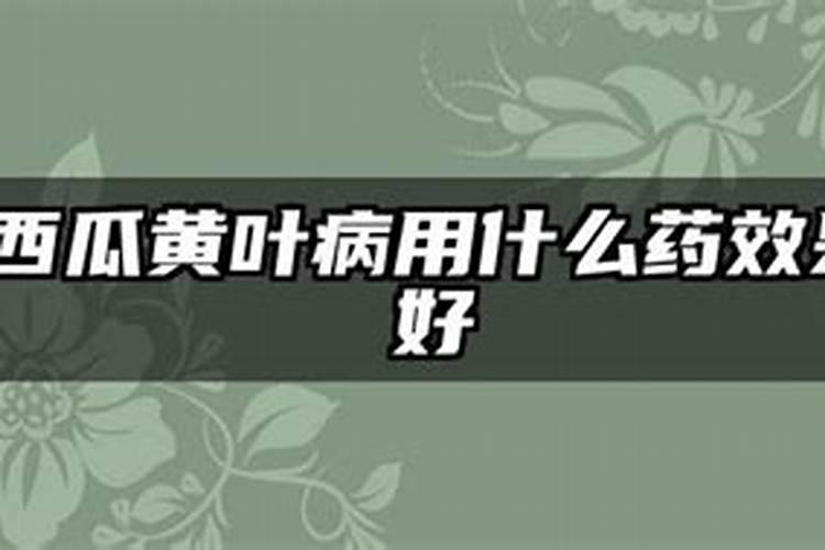 西瓜结果了需要施什么肥料