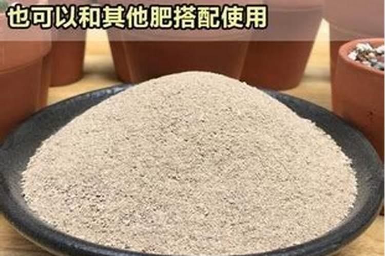 骨粉能代替果树磷肥吗