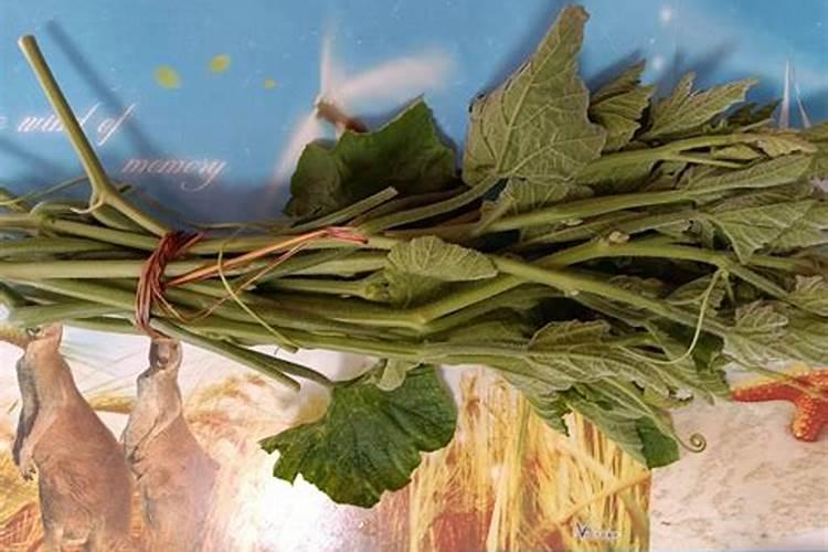 种南瓜需要哪种复合肥