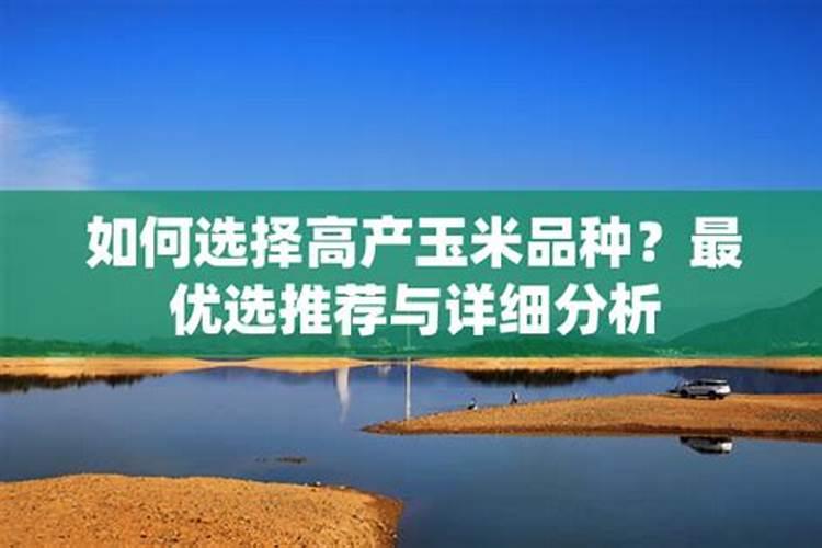 玉米专用肥的最佳配方