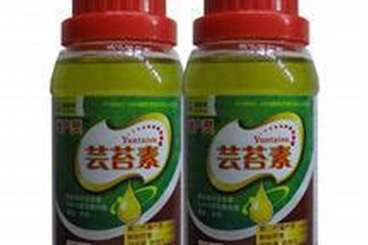 芍药根茎是种中药,种植芍药,叶子出现枯萎发黑的原因及预防措施是什么...