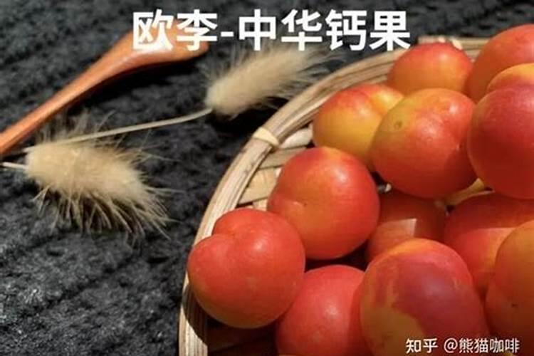 番茄喷施磷酸二氢钾可以加糖醇钙镁吗