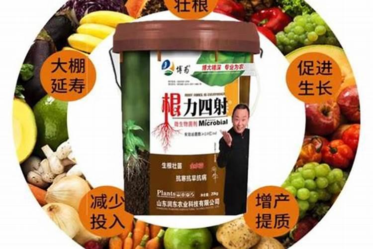 生根壮根的肥料有哪些