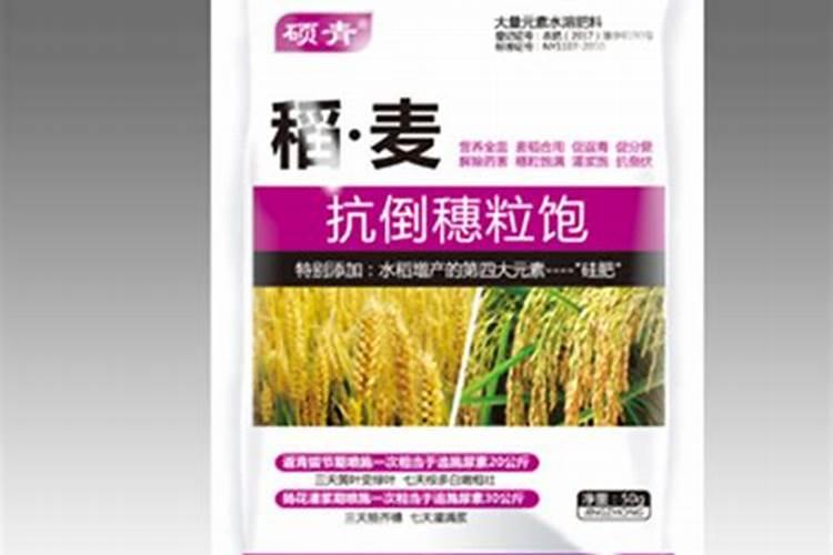 金太阳杏栽植方法