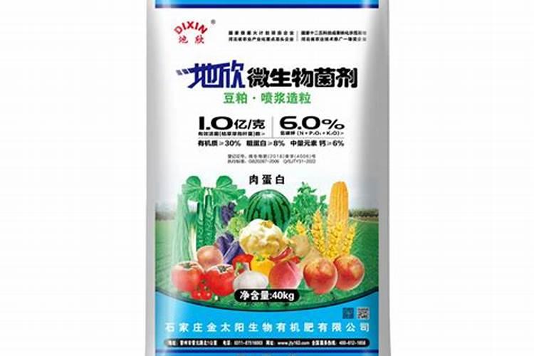 金太阳杏有什么优缺点？