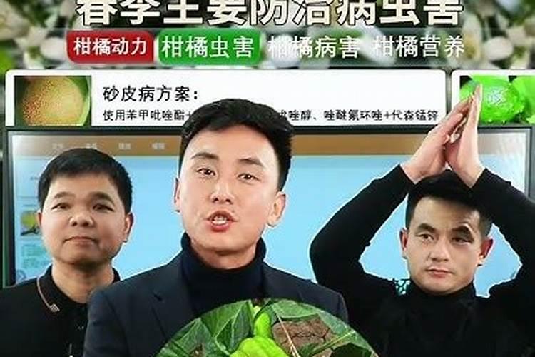 钙肥选哪个品牌好？