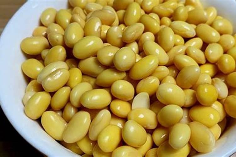 炒熟的黄豆可以做肥料吗