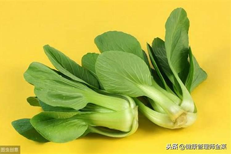果园地里可以种什么植物