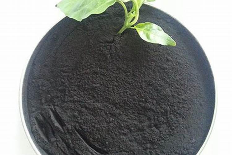 种植物的肥料  盆栽植物肥料有哪些