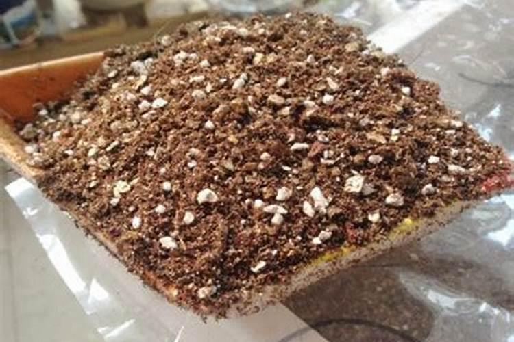 商品有机肥能挥发吗？我今天已施下去了,但明天我有点要事,不能把它盖...