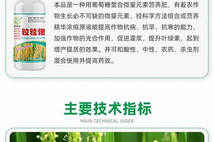 水溶肥和普通肥料有什么区别？