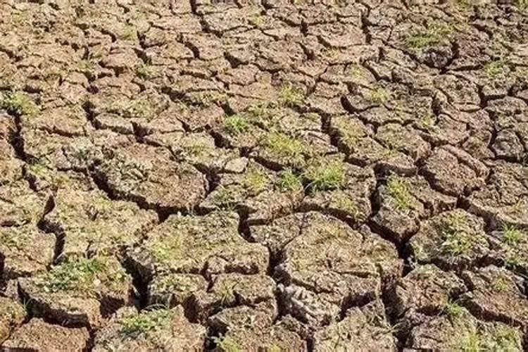 黄瓜氮肥过多的病害,黄瓜氮肥过多的防治方法