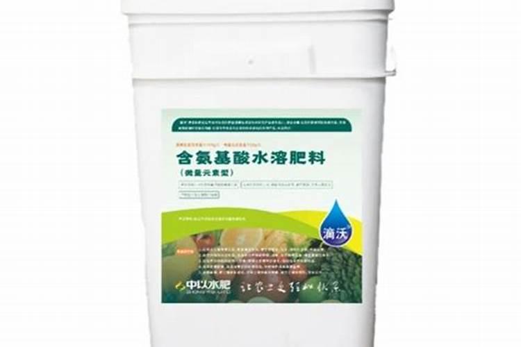 三角梅修剪后长出新芽了怎么护理